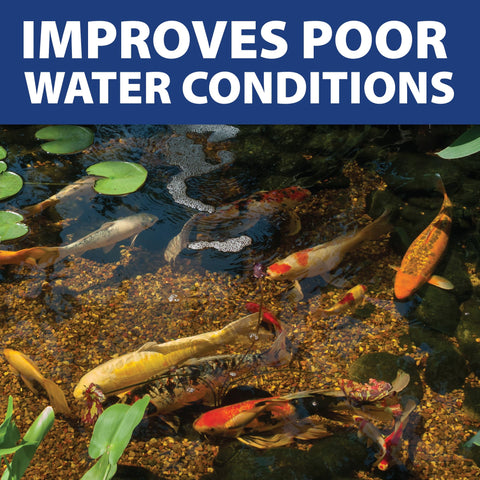 Safe for fish and plants when used as directed, according to manufacturer guidelines.