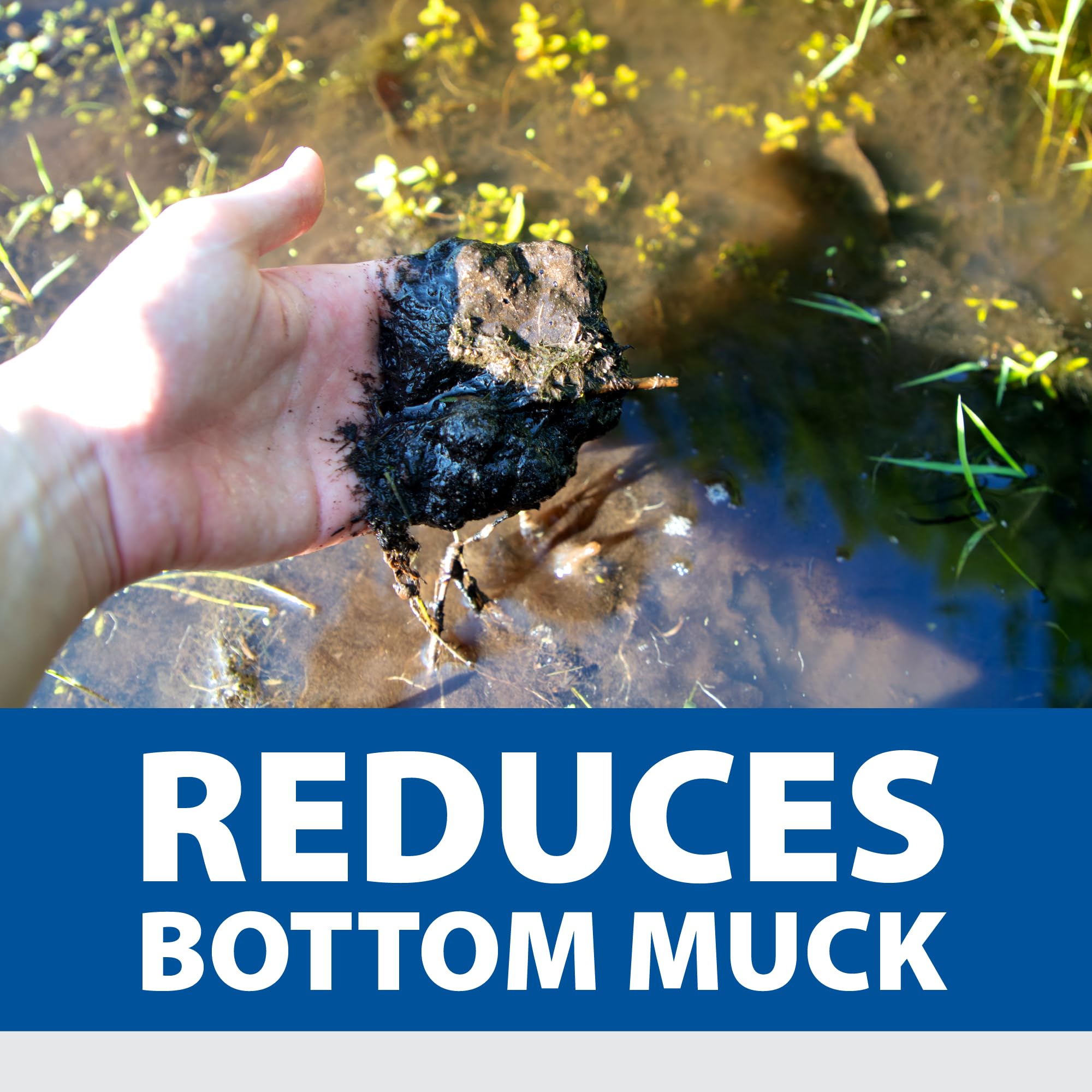 The Pond Guy Muck Defense bacteria action improving pond clarity