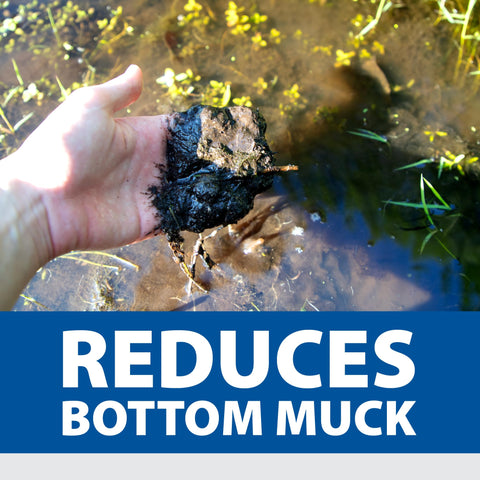 The Pond Guy Muck Defense activates beneficial bacteria to accelerate debris breakdown.