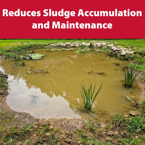 The Pond Guy Muck Defense package shows 24 tablets for ongoing treatment.