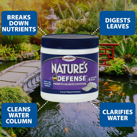 The Pond Guy Nature's Defense seeds the biological filter.