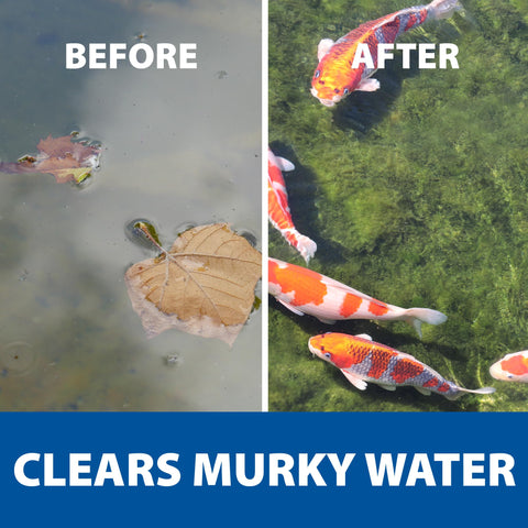 The Pond Guy RapidClear dosage shown as 1 oz per 500 gallons.