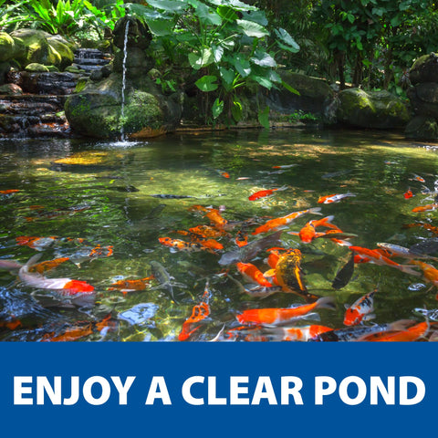 The Pond Guy RapidClear is safe for fish and plants when used as directed.