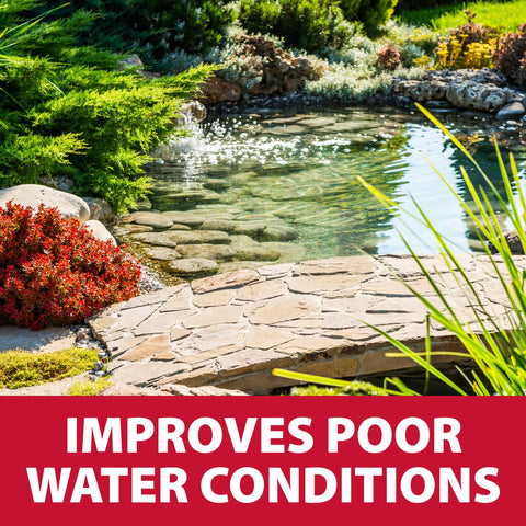 The Pond Guy RapidClear results in noticeably clearer water.