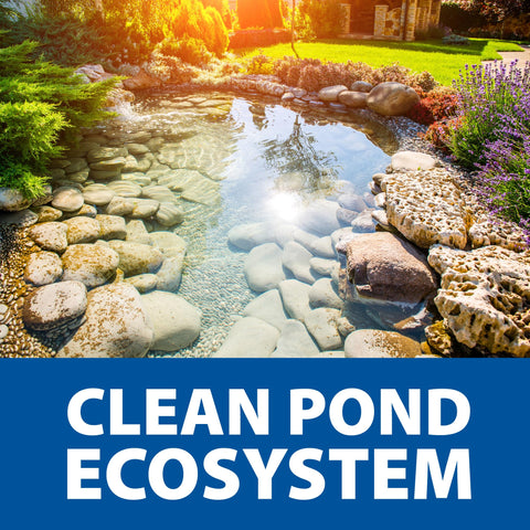 The Pond Guy Seasonal Defense helps keep water clear in colder months.