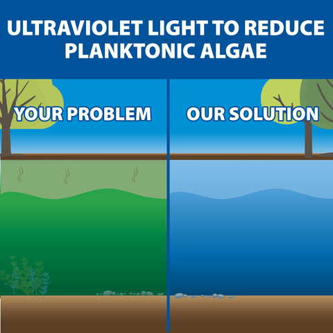The Pond Guy UltraUV unit beside duck pond ideal for backyard water gardens.