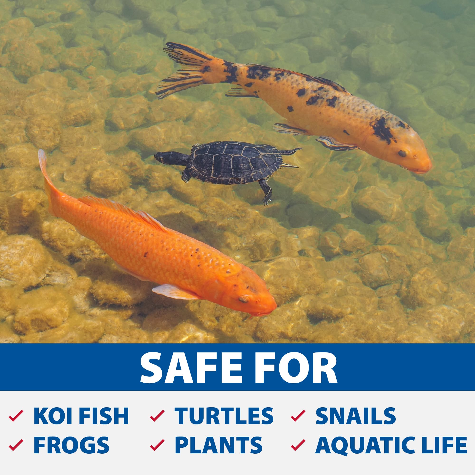 The Pond Guy UltraUV with clear piping integrates with the biological filter.