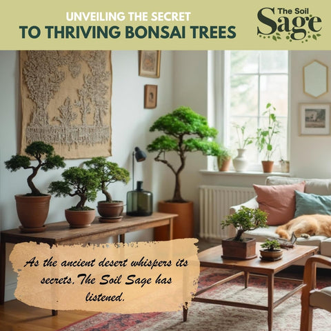 The Soil Sage long-lasting soil structure supports stable root zones.