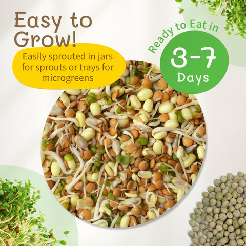 The Sprout House 12-sample seed mixes for microgreens at home.