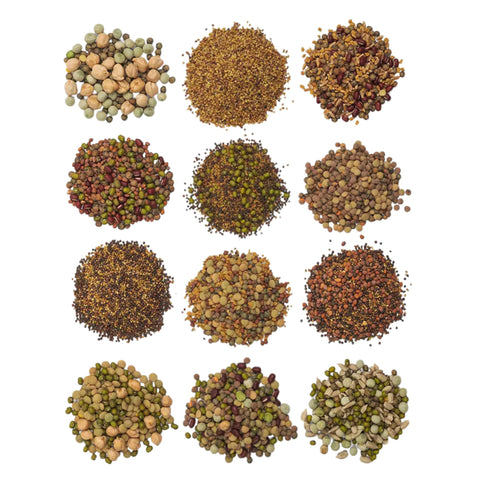 The Sprout House organic non-GMO seeds in sample pack for beginner sprouting.