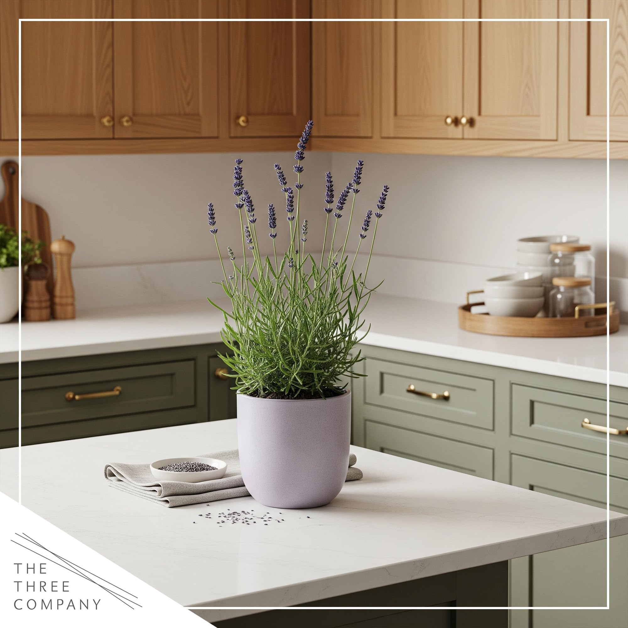The Three Company lavender is drought-tolerant once established for easy care