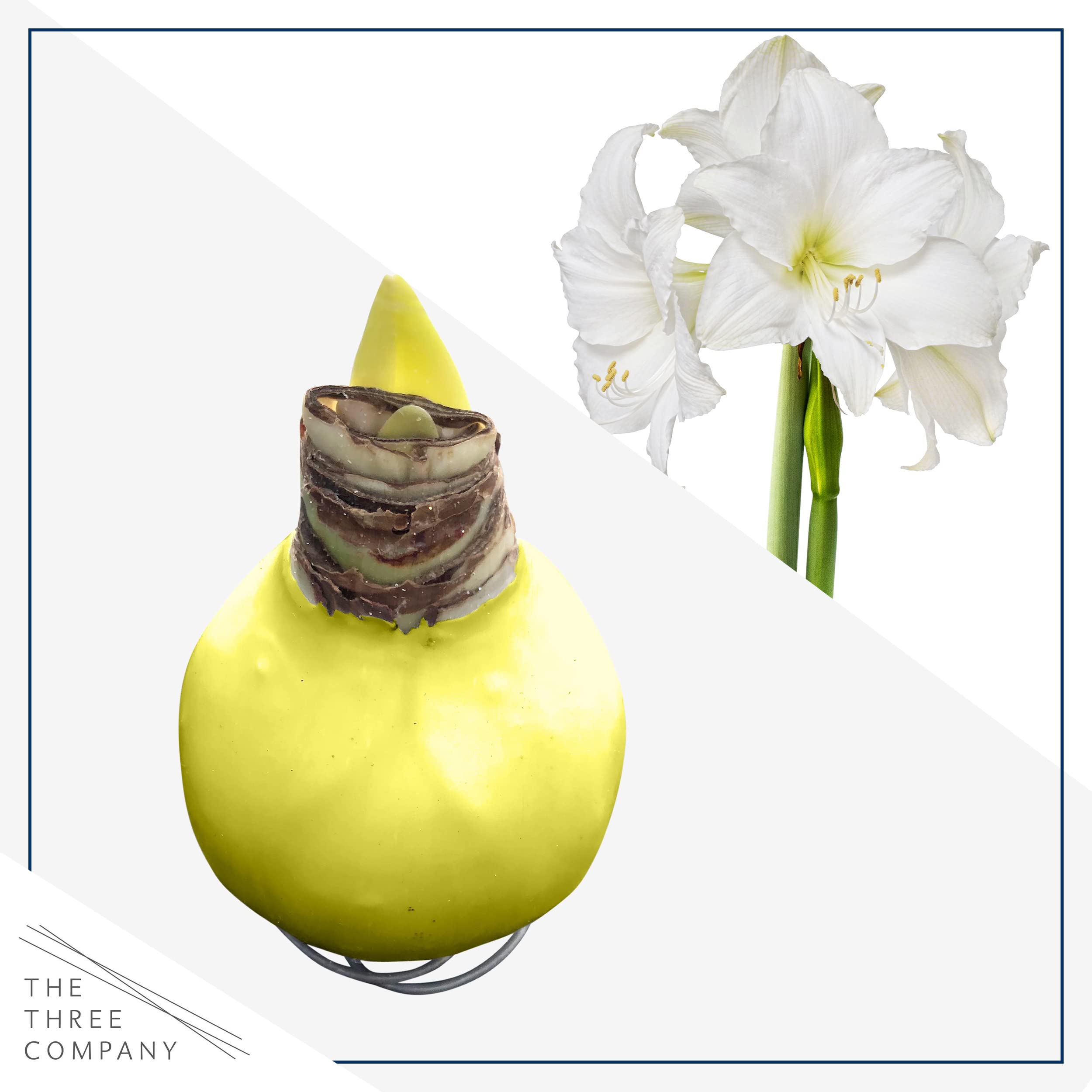 The Three Company spring decor display featuring white blooms and yellow wax for warm vibes.