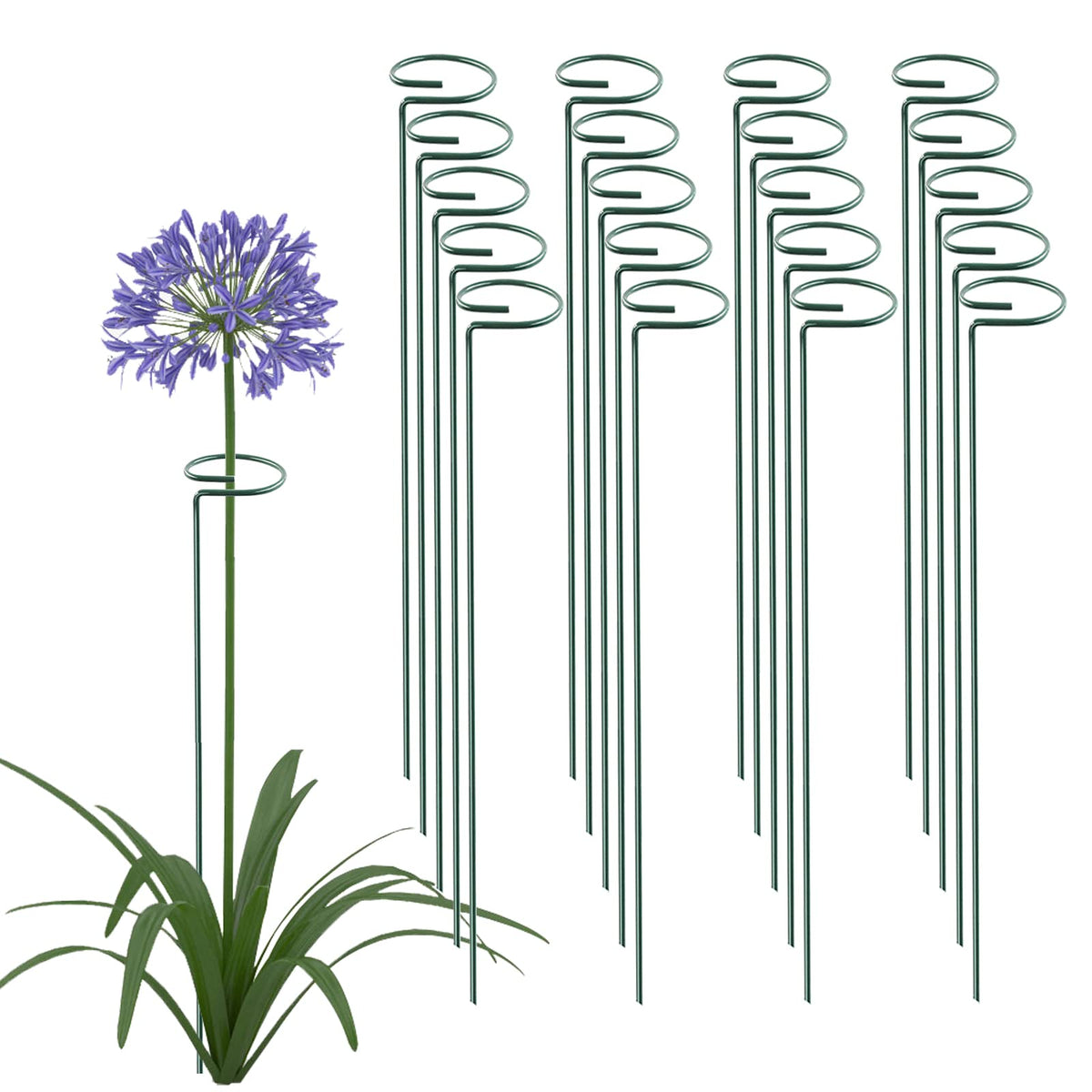 Thealyn 24inch plant stake pack supports upright growth for flowering plants.
