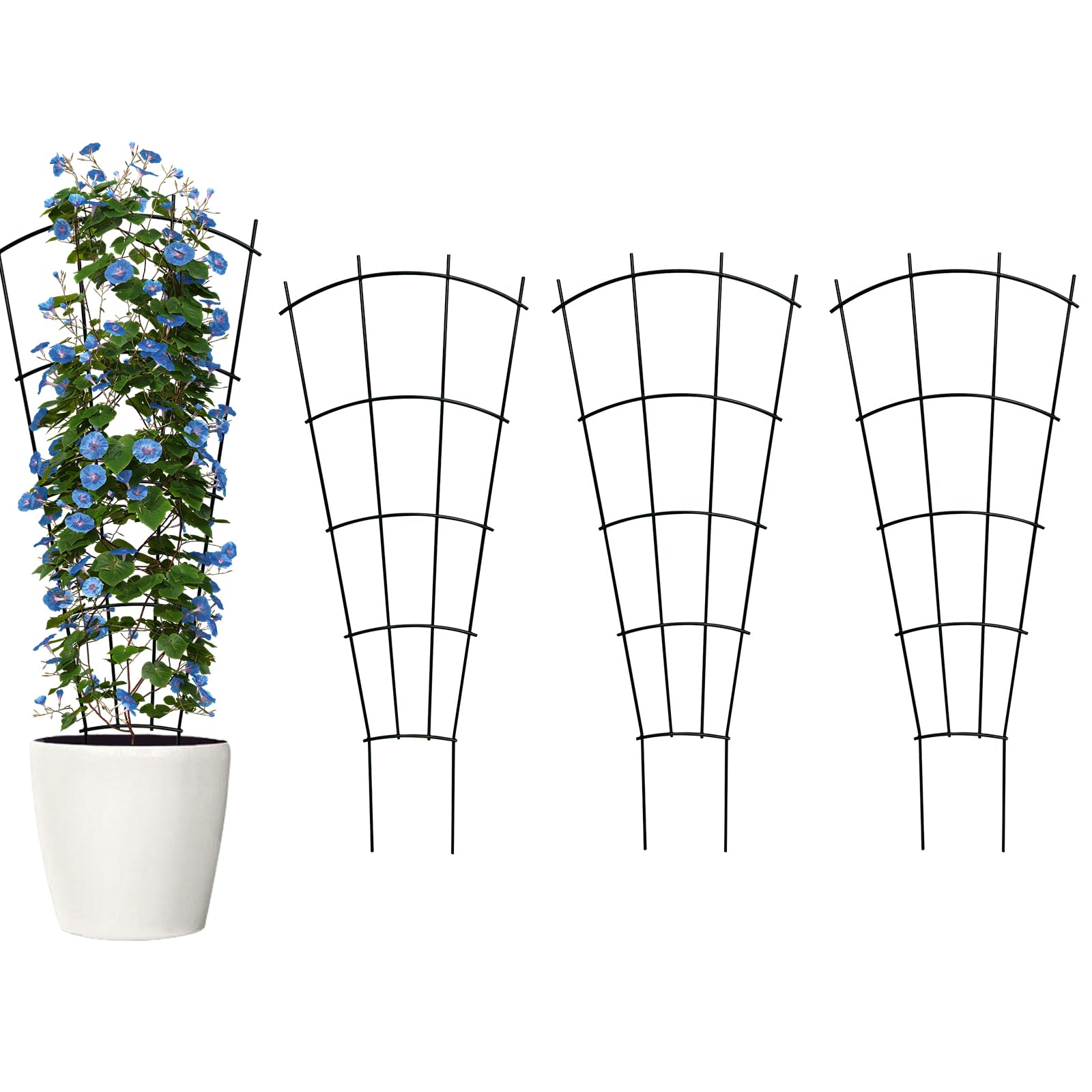 Thealyn 32-inch metal trellis in fan shape for indoor or outdoor plant support.