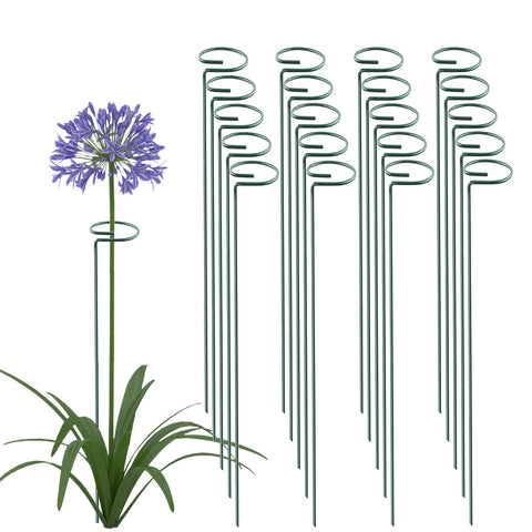 Thealyn 36-inch plant stake hoop keeping tall stems upright for vibrant blooms.