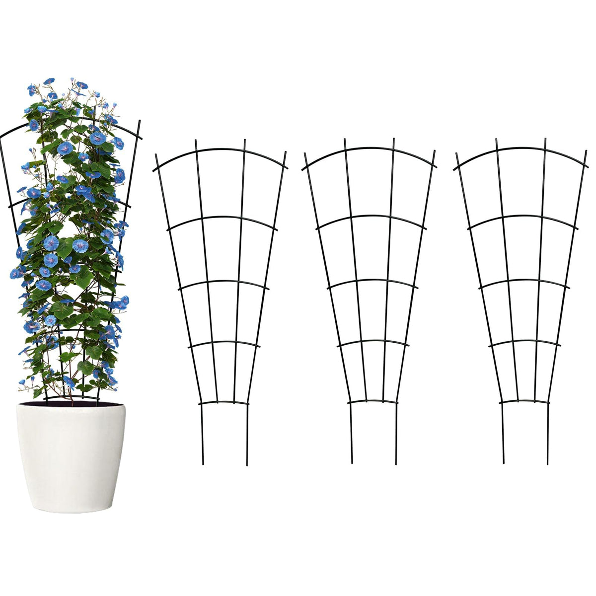 Thealyn 4-pack 43in metal trellis supports vertical growth for potted plants