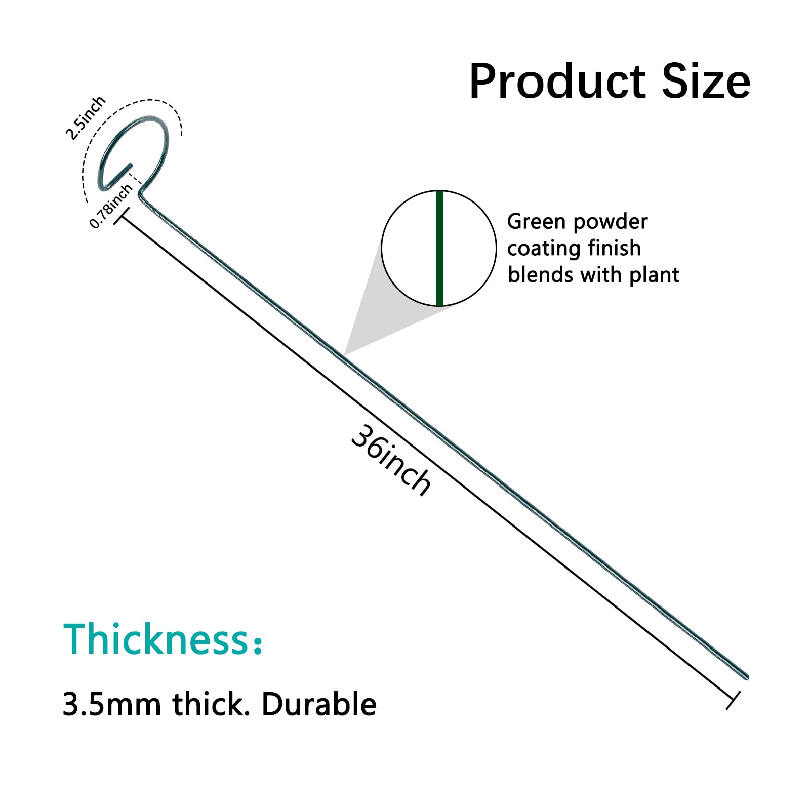 Thealyn easy-install 36-inch stakes simplifying garden setup and staking.