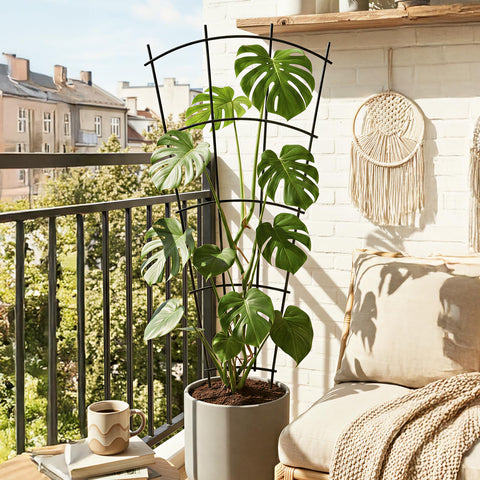 Thealyn fan-shaped trellis elevates displays while guiding stems.