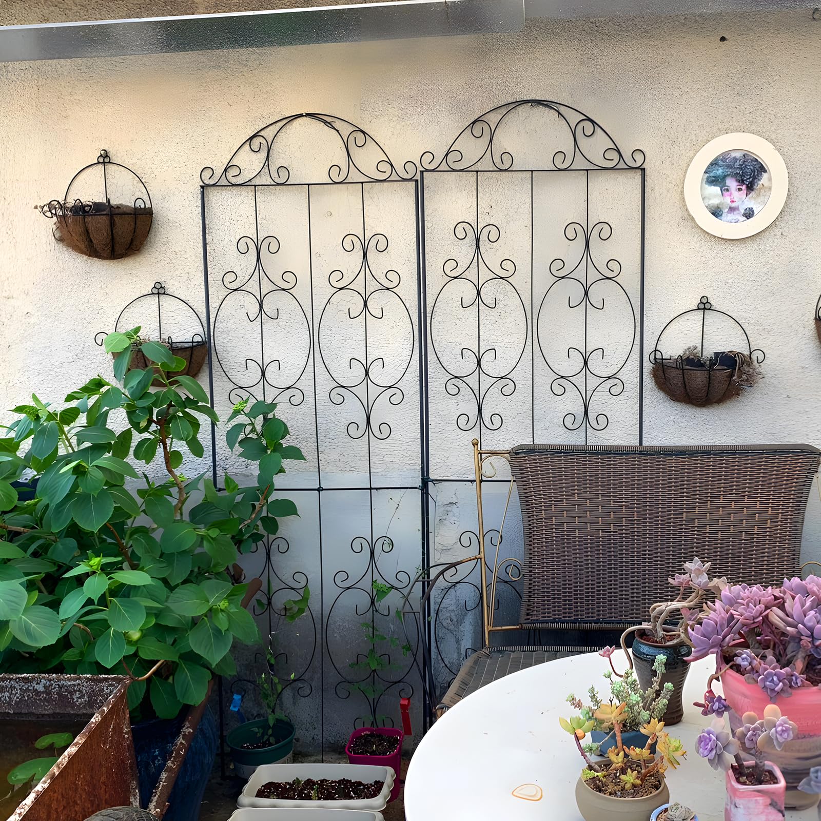 Thealyn Garden Trellis with rust-resistant black coating for outdoor use