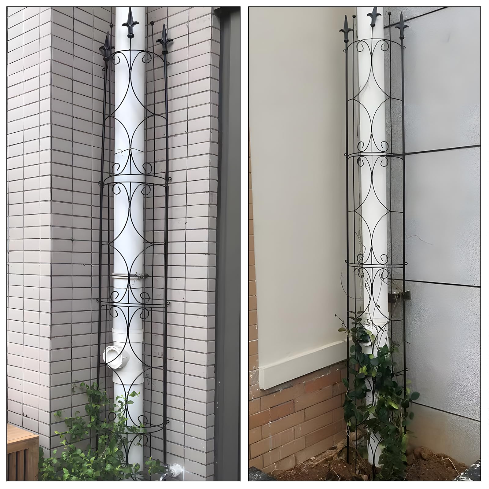 Thealyn Garden Trellis helps climbing plants cloak the frame, adding living texture.