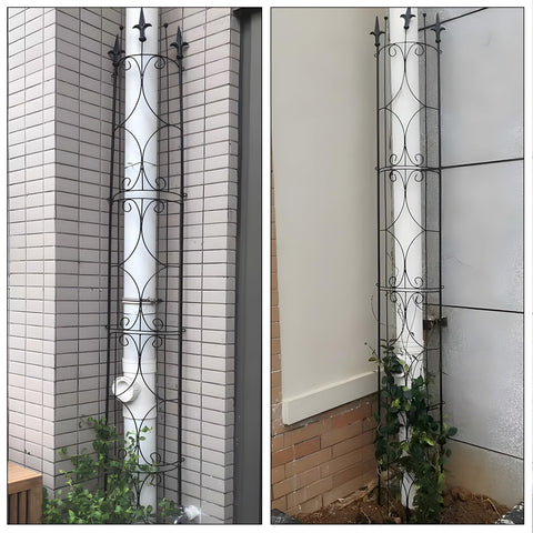 Thealyn Garden Trellis helps climbing plants cloak the frame, adding living texture.
