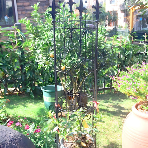 Thealyn Garden Trellis indoor-outdoor versatility suits multiple spaces.