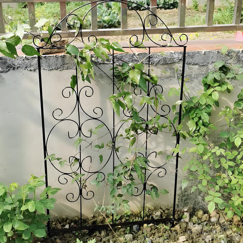 Thealyn Garden Trellis supports tomatoes, peas, and cucumbers outdoors