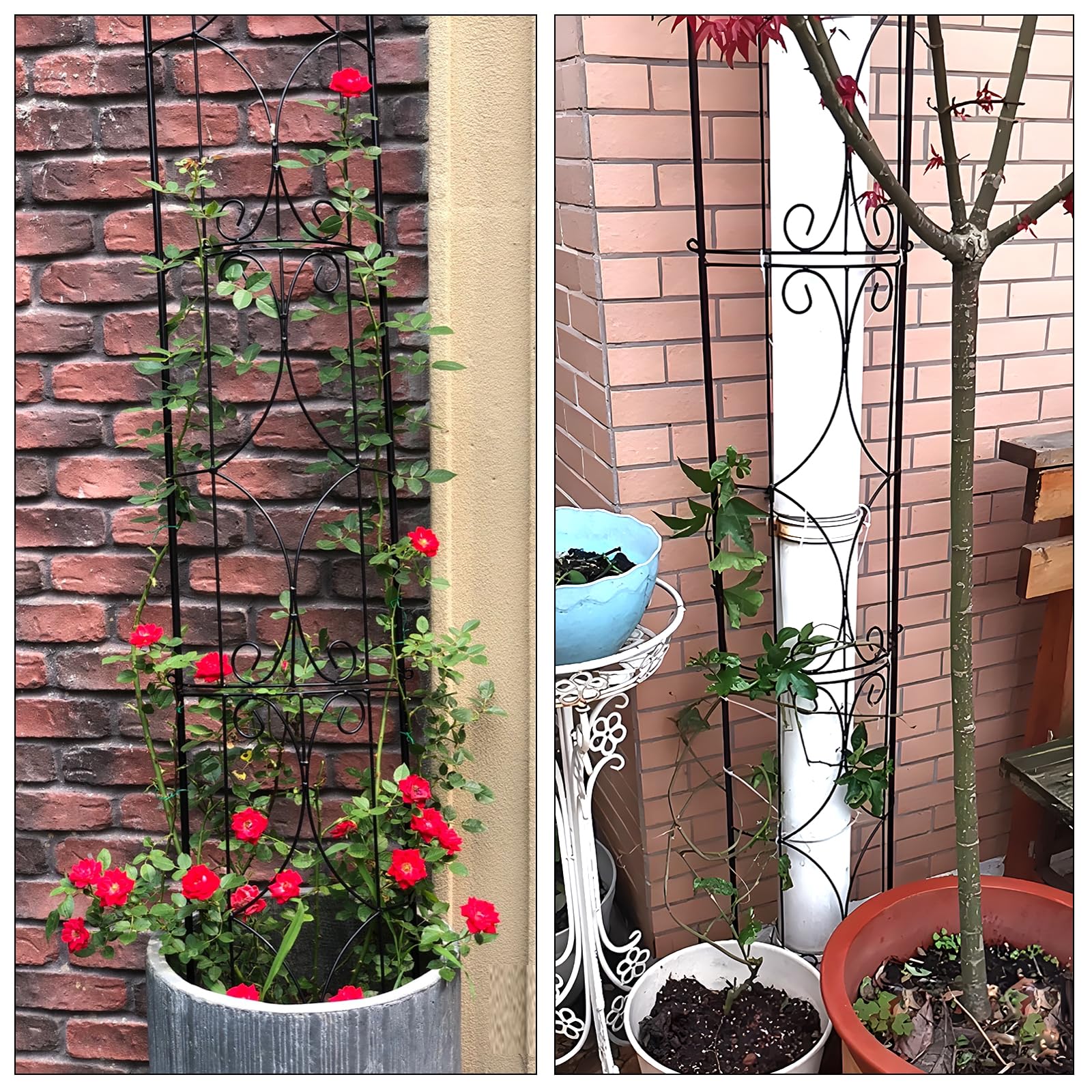 Thealyn Garden Trellis can be secured to outdoor pipes for natural greenery along a frame.