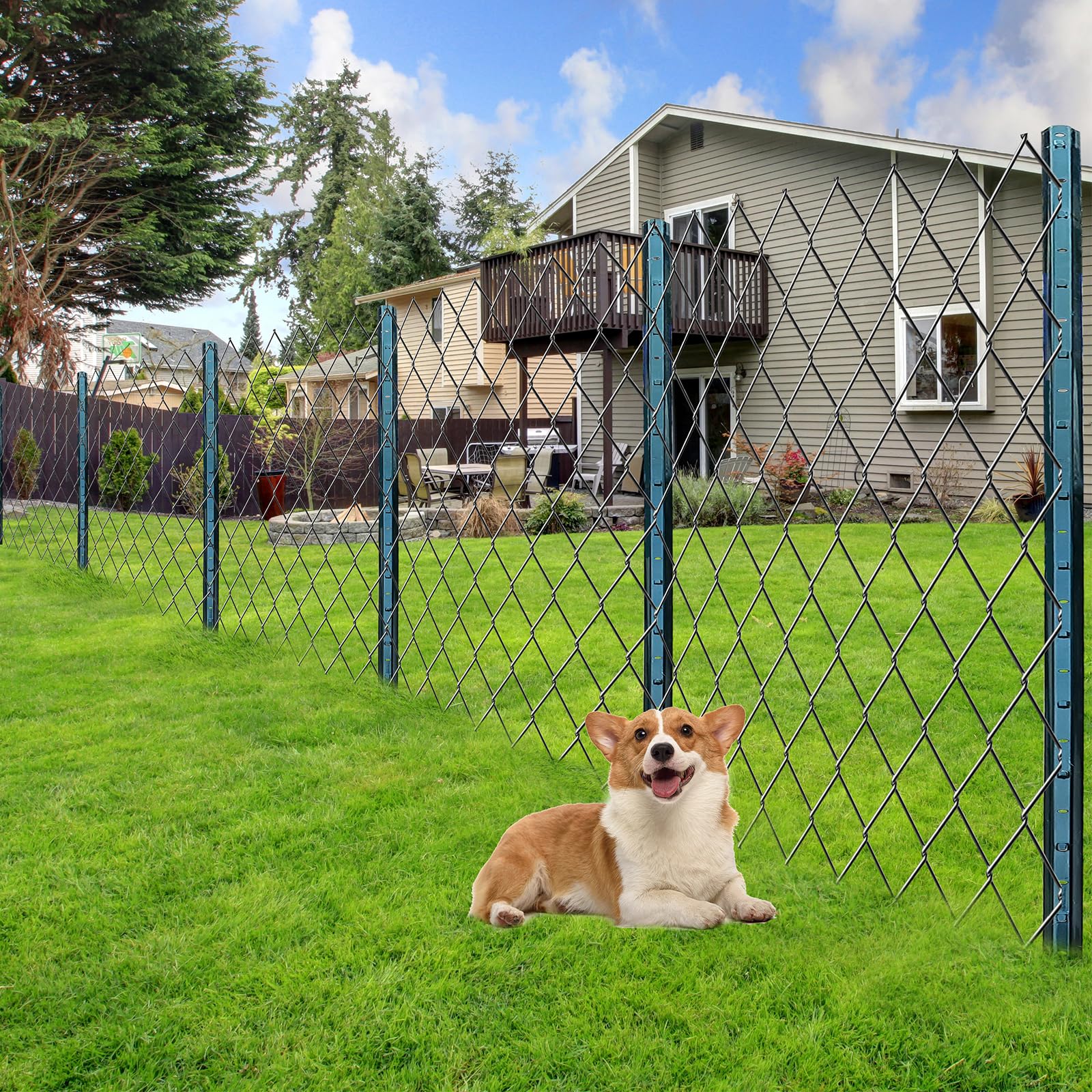 Thealyn garden wire support provides versatile fencing for vegetables and poultry.