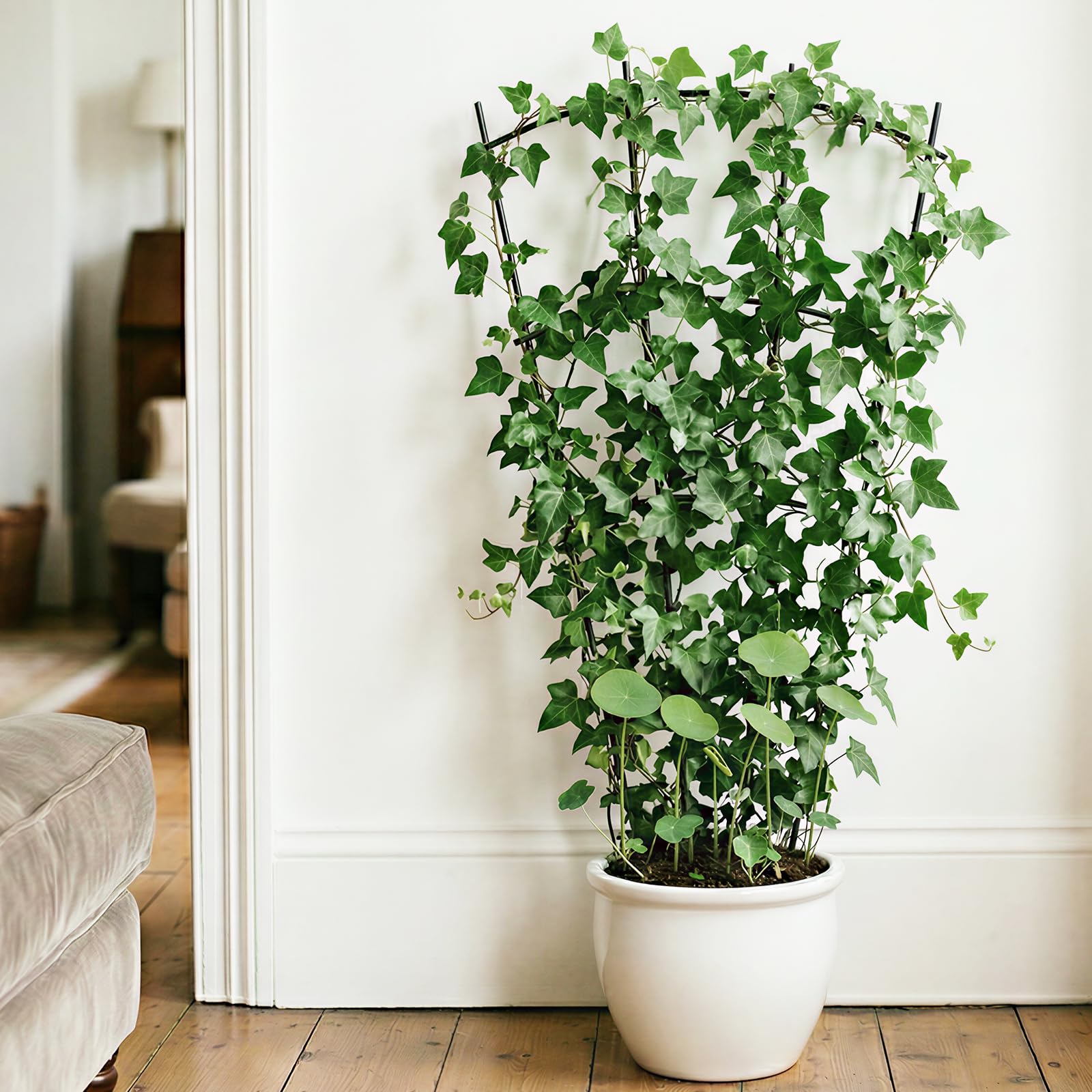 Sturdy Thealyn trellis supports ivy, clematis, jasmine, roses, and more