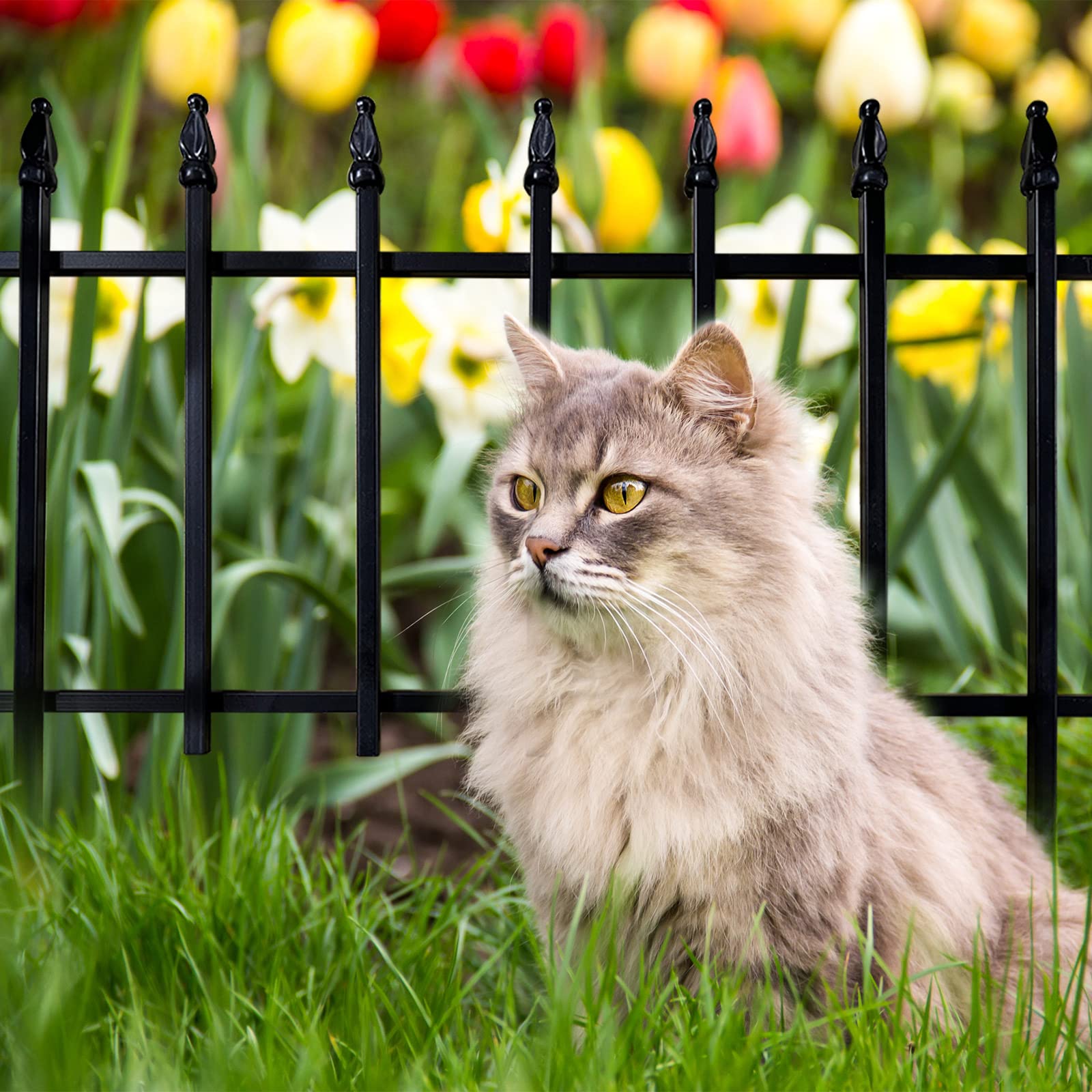 Thealyn decorative fence enhances curb appeal with contemporary styling.