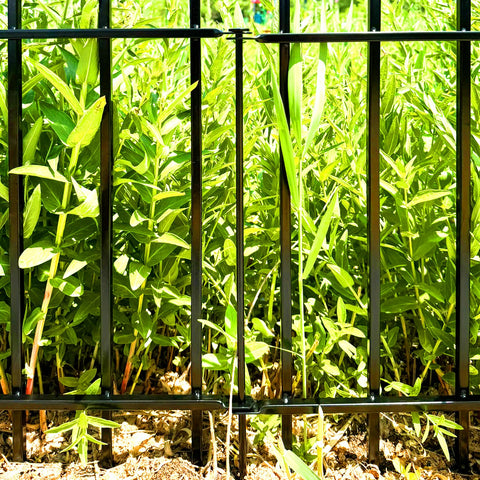 Thealyn garden border fence frames a lush patio area