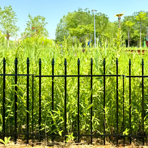Thealyn tree guard fence protects young plants with sturdy metal