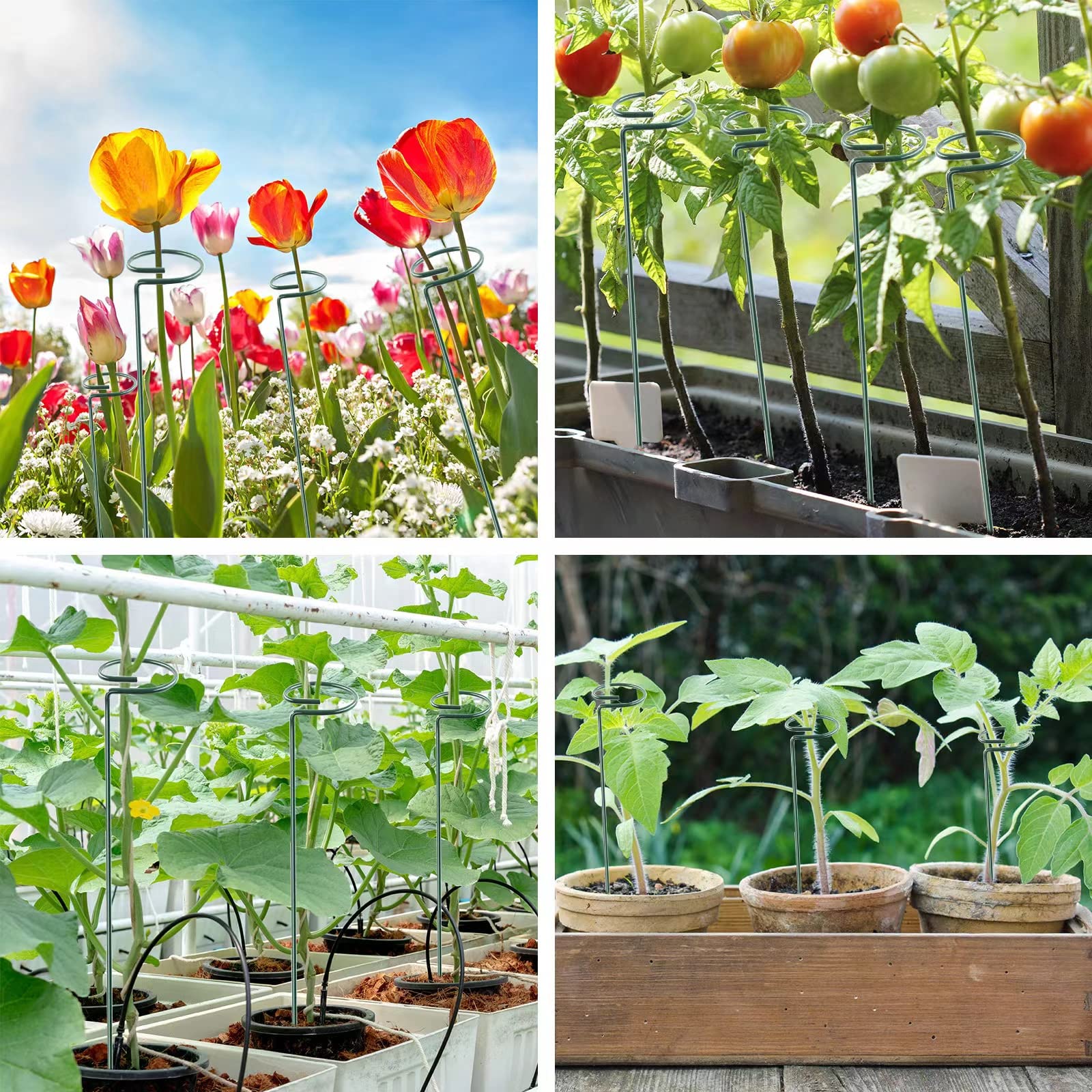 Thealyn outdoor-flower-vegetable-support shows versatile garden use.