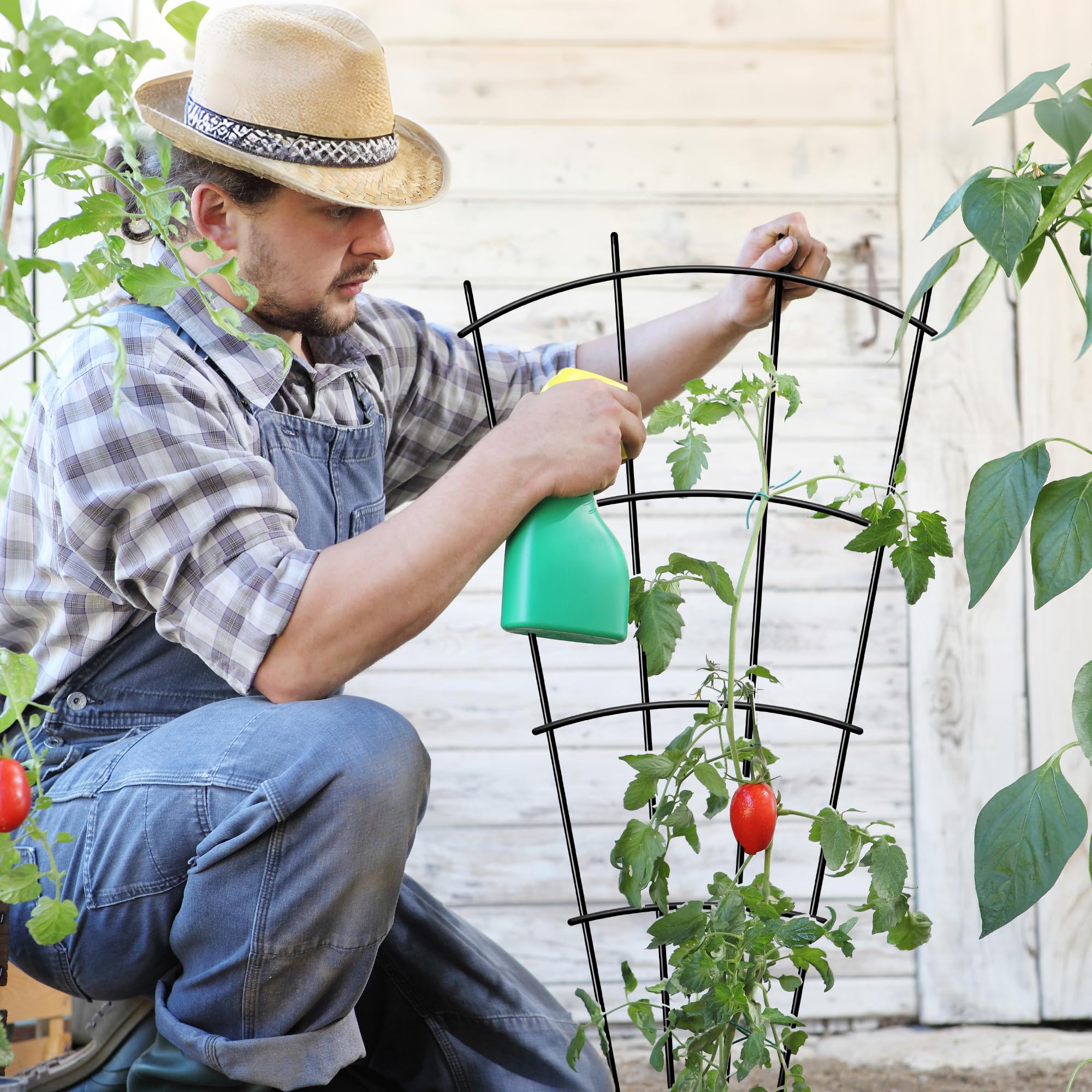 Thealyn rustproof trellis provides durable support for vines.
