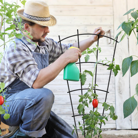 Thealyn rustproof trellis provides durable support for vines.