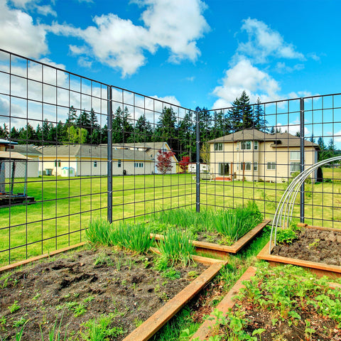 Thealyn durable steel construction delivers lasting support for garden borders.