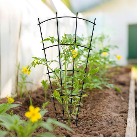 Weatherproof Thealyn trellis resists rust for years of use