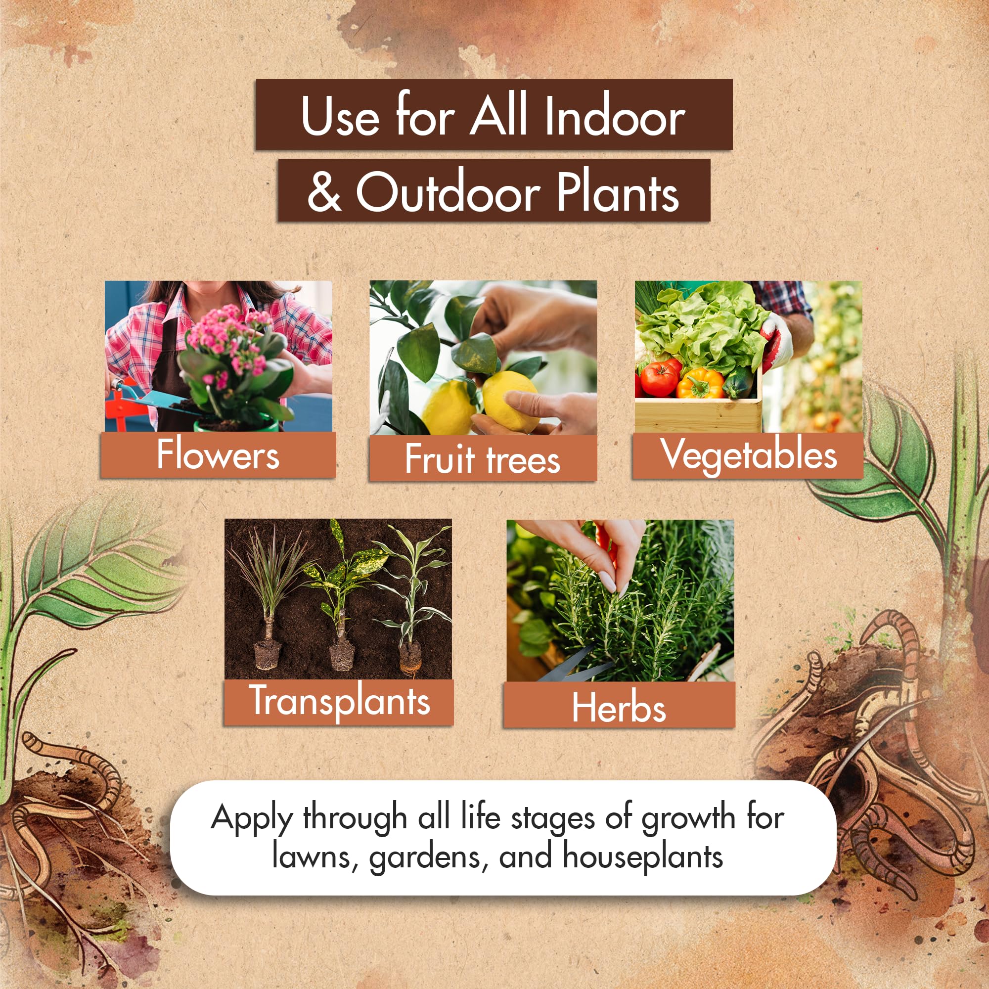 The Grow Co plant growth close-up hints at bigger harvest potential