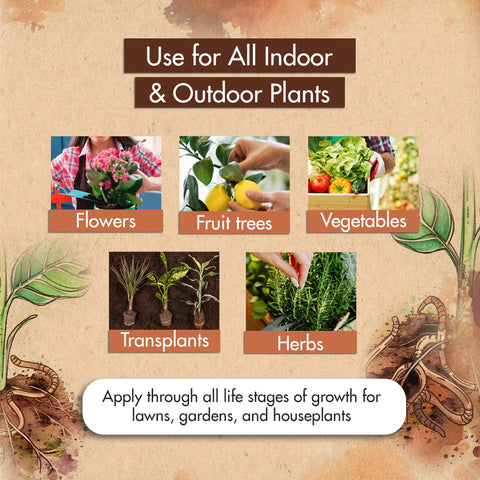 The Grow Co plant growth close-up hints at bigger harvest potential