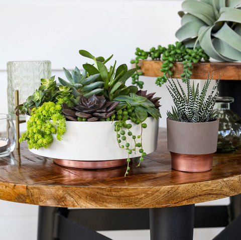 The HC Capri Bowl—durable and lightweight for flexible indoor/outdoor use.