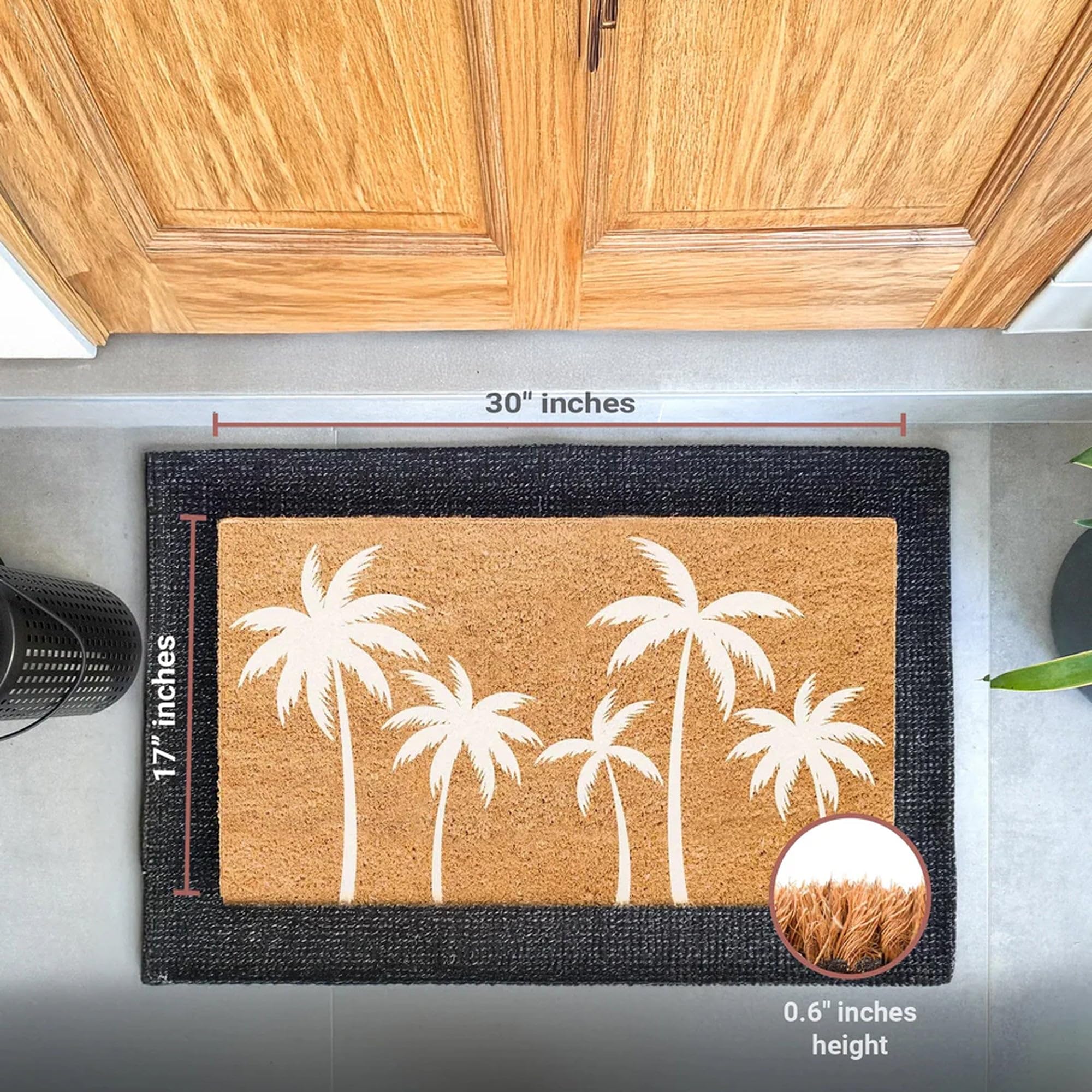 THEODORE MAGNUS door mat suitable for outdoor and indoor use at entry