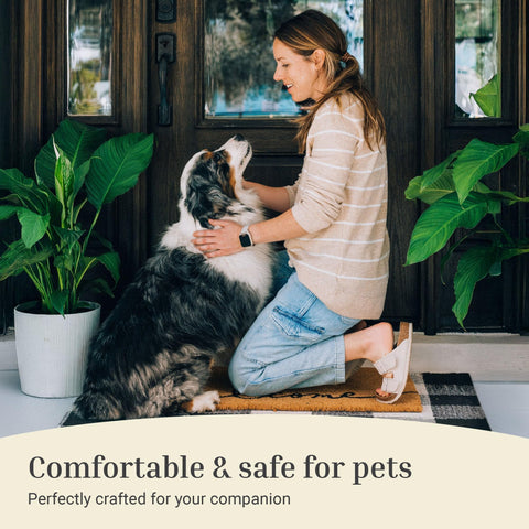 THEODORE MAGNUS easy-clean surface is pet-friendly and low maintenance.