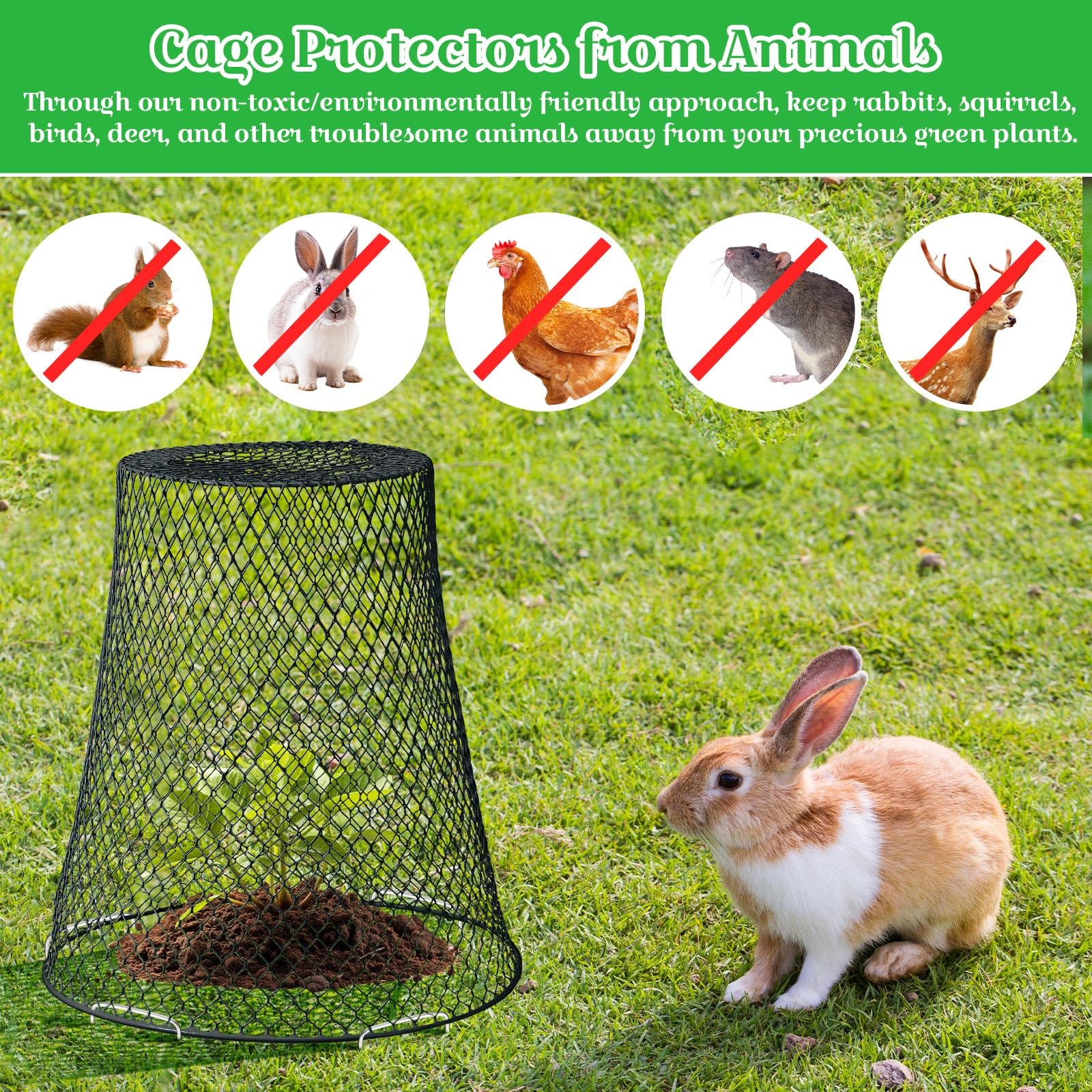 Therwen fine mesh cloche design prevents pests from reaching roots while preserving sun exposure.