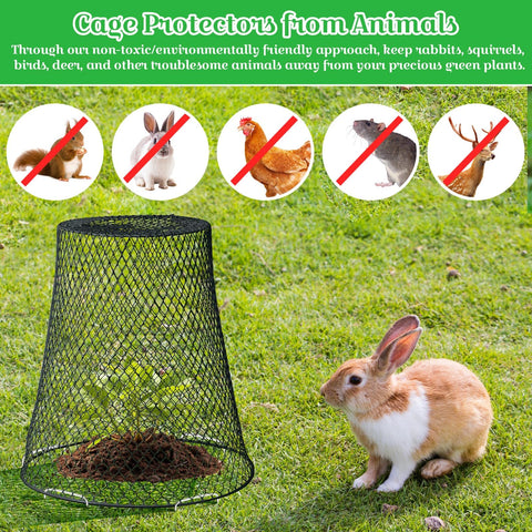 Therwen fine mesh cloche design prevents pests from reaching roots while preserving sun exposure.