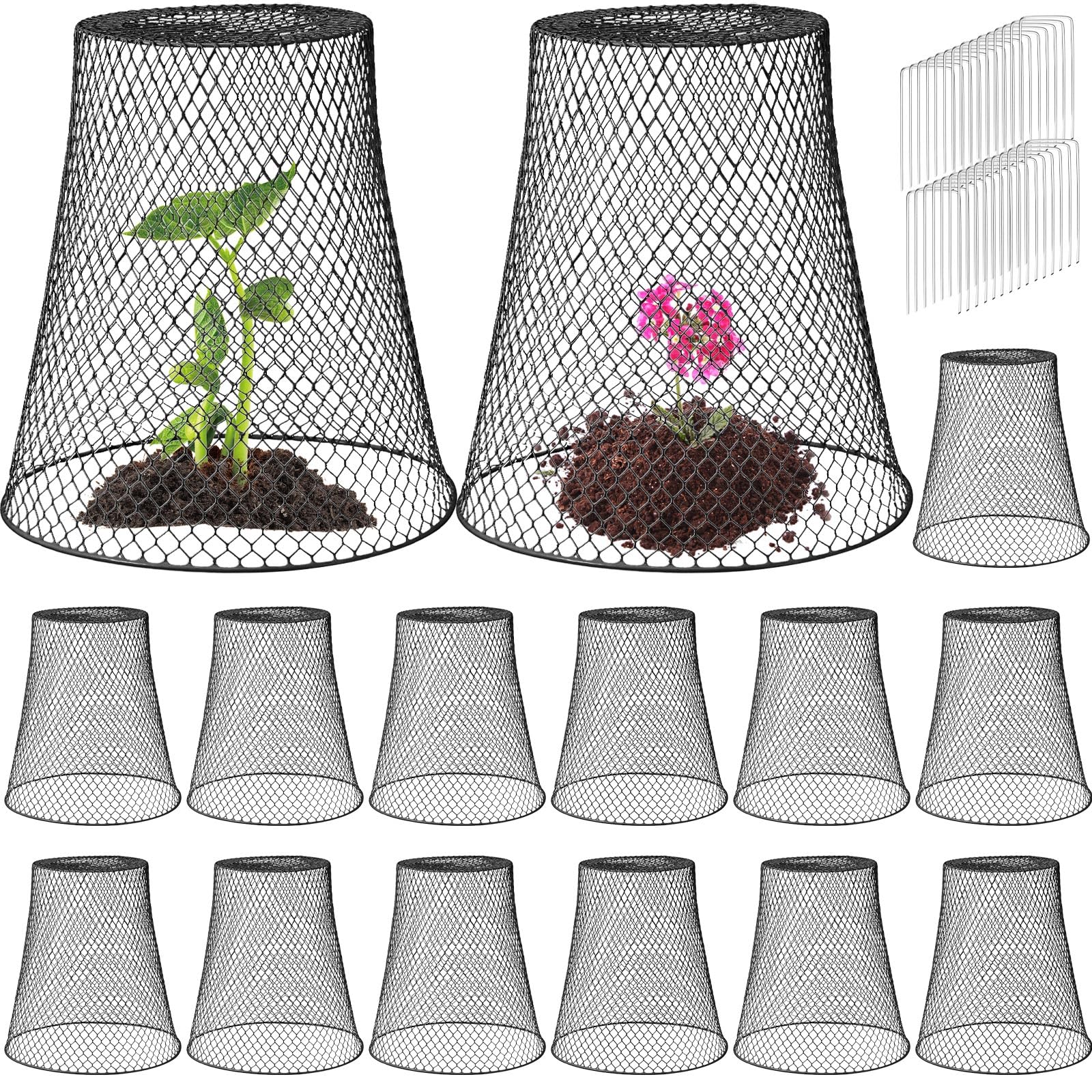 Therwen large cloche dome 11x12 inch shields seedlings from animals while letting sun reach roots.