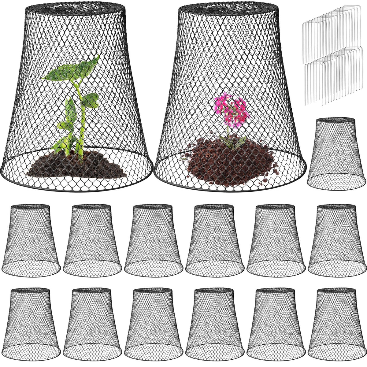 Therwen large cloche dome 11x12 inch shields seedlings from animals while letting sun reach roots.