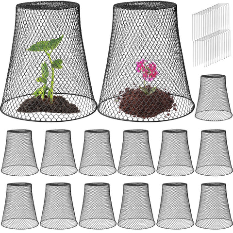 Therwen large cloche dome 11x12 inch shields seedlings from animals while letting sun reach roots.