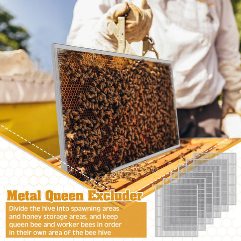 Honey harvest flow with Therwen excluder demonstrating efficient hive management.