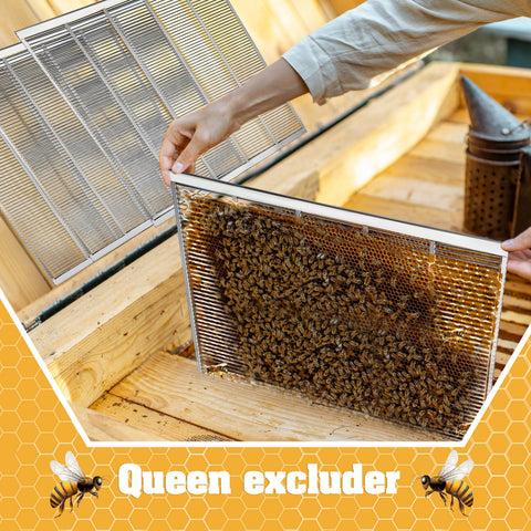 In-hive use of Therwen excluder illustrating proper placement between brood and honey sections.